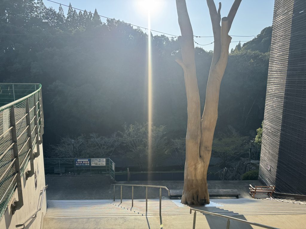 佐俣の湯周辺の自然
