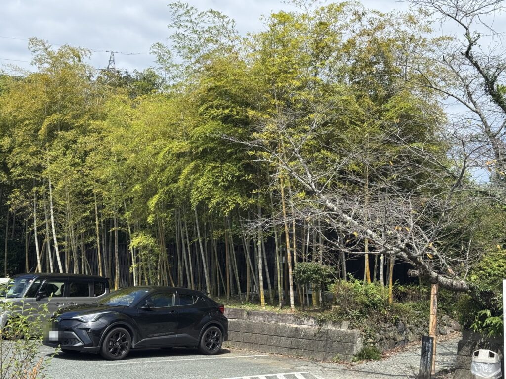 清流荘の駐車場